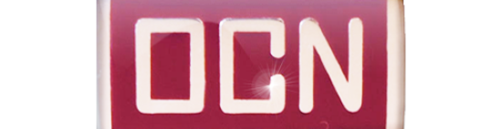 OCN® Sterling Silver Pin - Burgundy Enamel