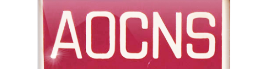 AOCNS® Sterling Silver Pin - Burgundy Enamel